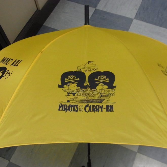 Kartunbrella - Image 2