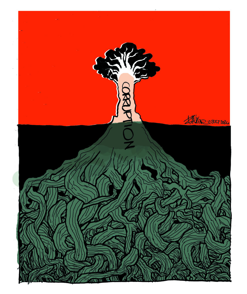 Repro Cartoon CORRUPTION 10 July 2024.jpg